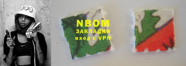 прущие грибы Карпинск