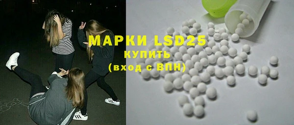 прущие грибы Карпинск