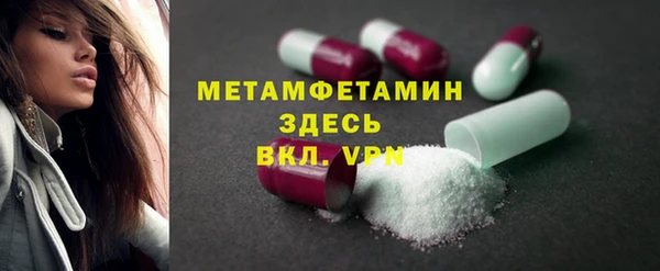 прущие грибы Карпинск