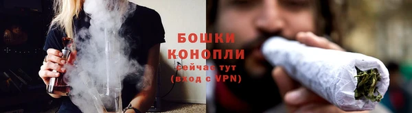 прущие грибы Карпинск