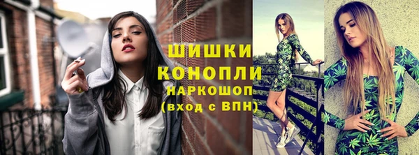 прущие грибы Карпинск