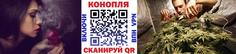 Купить где Оленегорск Каннабис гибрид
